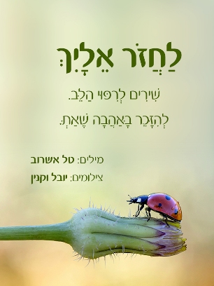 לחזור אליך