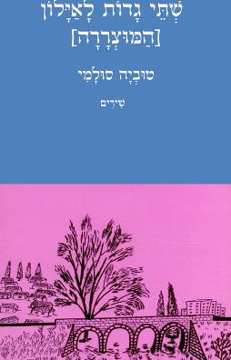 שתי גדות לאילון (המוצררה)