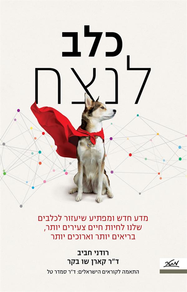 כלב לנצח