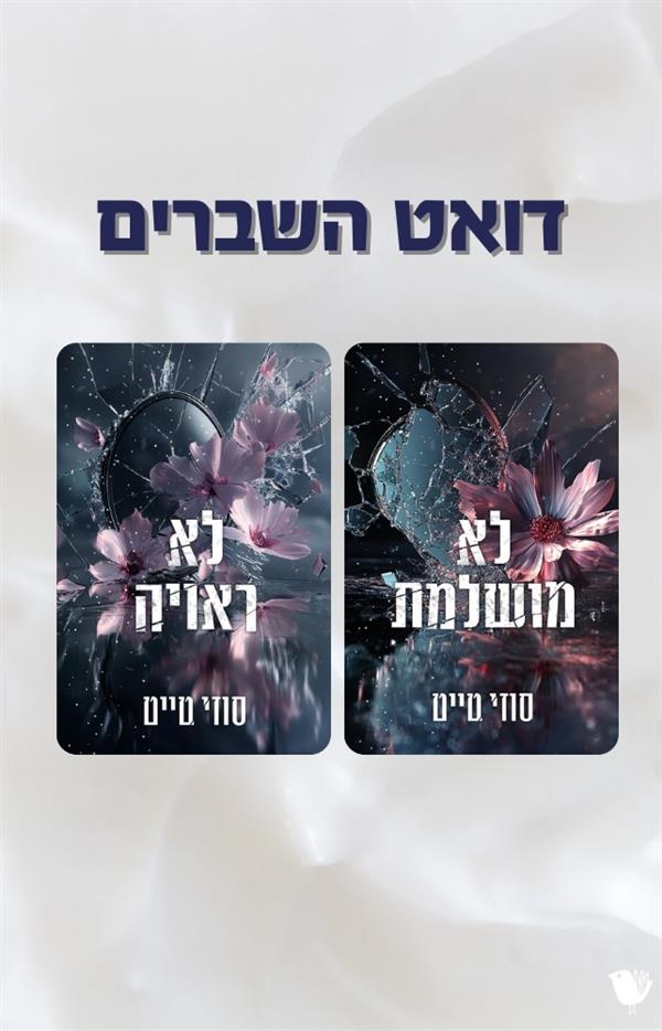 מארז סדרת השברים