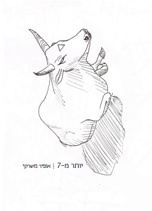 יותר מ-7